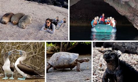 Galapagos Magic Lodge: Where Adventure Meets Luxury